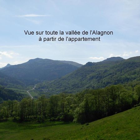 Vacances Au Pied Des Monts Du Cantal Laveissière エクステリア 写真
