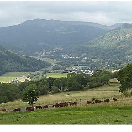 Vacances Au Pied Des Monts Du Cantal Laveissière エクステリア 写真