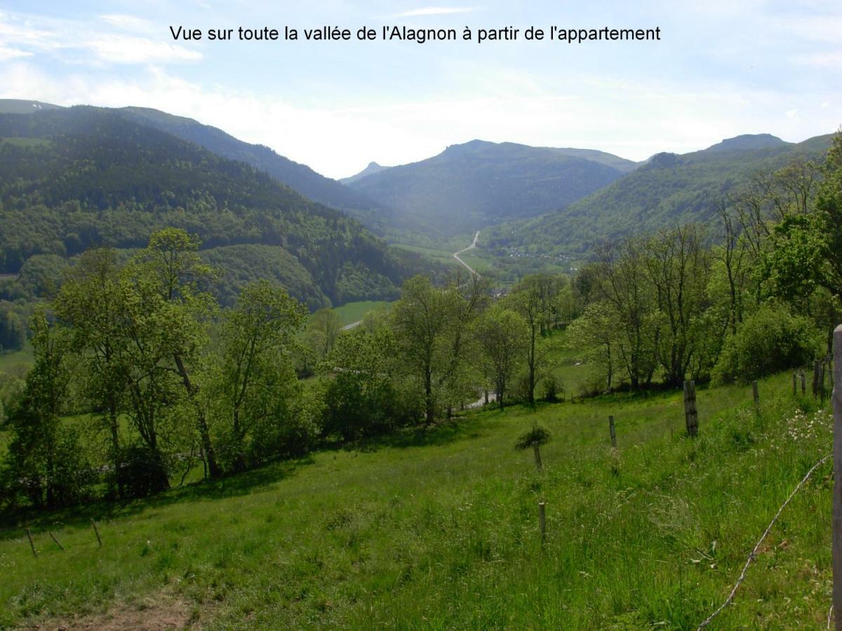 Vacances Au Pied Des Monts Du Cantal Laveissière エクステリア 写真