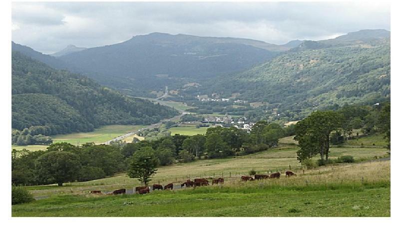 Vacances Au Pied Des Monts Du Cantal Laveissière エクステリア 写真