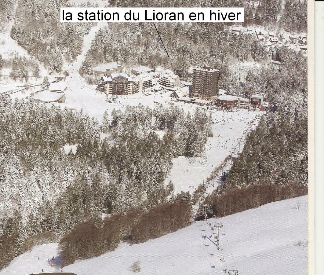 Vacances Au Pied Des Monts Du Cantal Laveissière エクステリア 写真