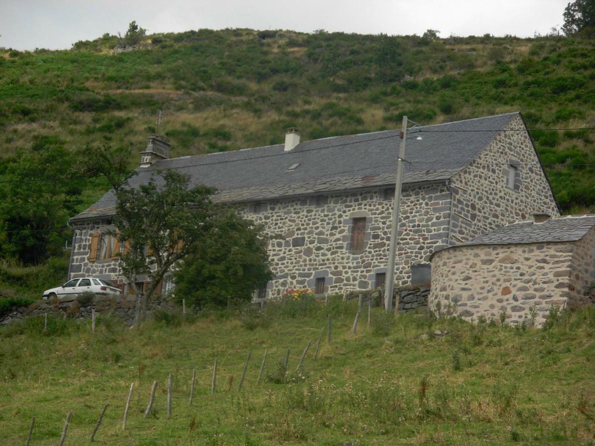 Vacances Au Pied Des Monts Du Cantal Laveissière エクステリア 写真